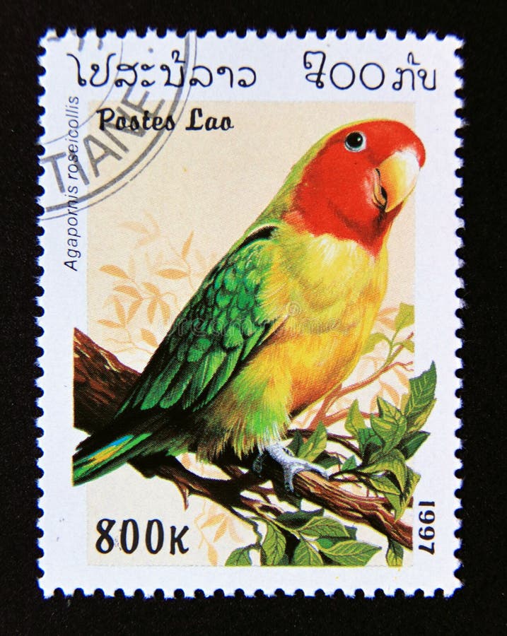 Post stamp printed in laos, 1997. Rosy faced lovebird agapornis roseicollis bird. Value 800 lao kip. From the series parrots. Post stamp printed in laos, 1997. Rosy faced lovebird agapornis roseicollis bird. Value 800 lao kip. From the series parrots.