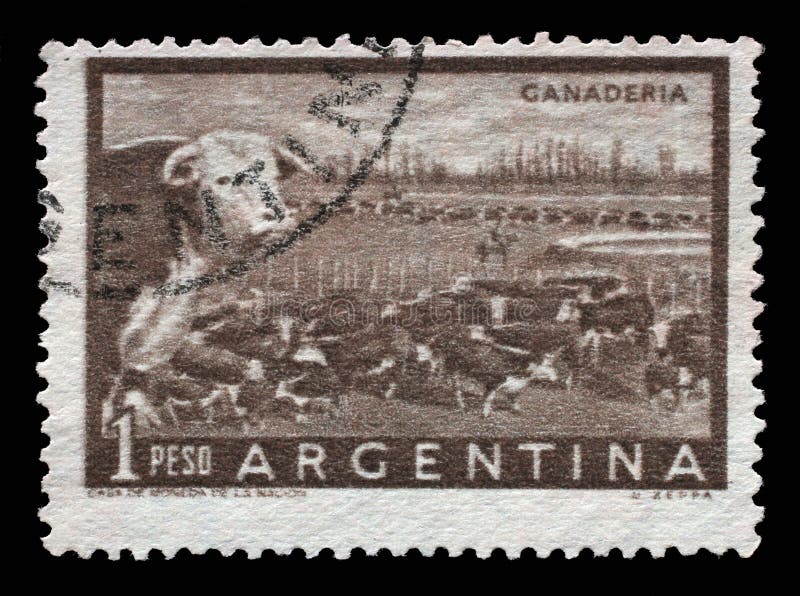 Stamp Printed in Argentina Shows a Heard of Beef Cattle in the ...
