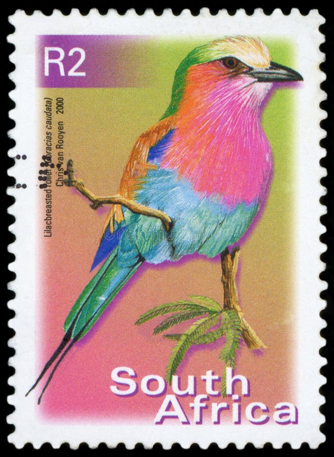 Postage Stamp - South Africa royalty free stock photography Postage Stamp - South Africa royalty free stock photography