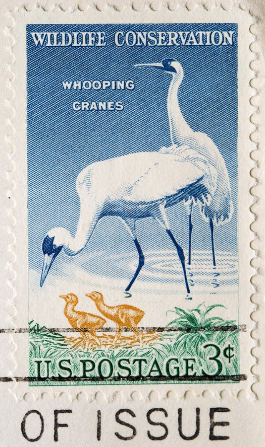 Postage Stamp Whooping Cranes stock photos