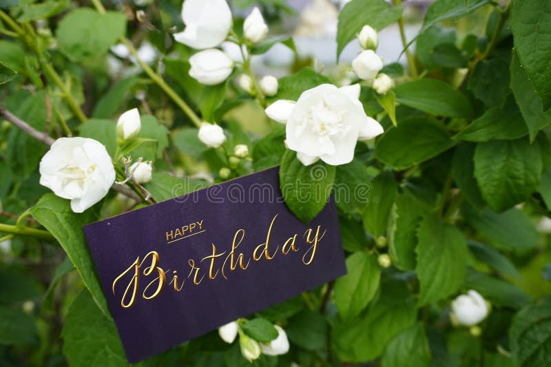 postcard , Internet banner , flat lay with a birthday greeting, with the inscription - happy birthday