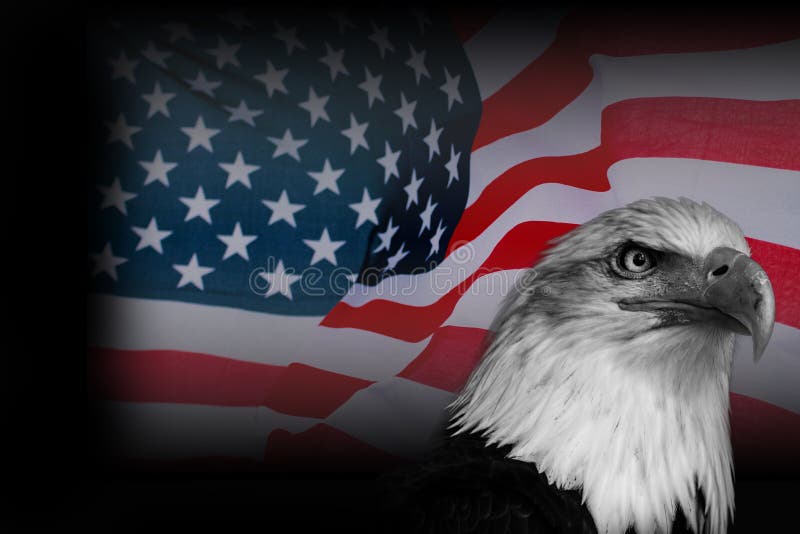 Colour poster American flag with blakc and white eagle. National USA symbol. Colour poster American flag with blakc and white eagle. National USA symbol.