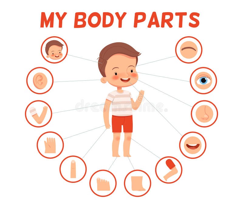 Boy Body Parts School Stock Illustrations – 165 Boy Body Parts School Stock  Illustrations, Vectors & Clipart - Dreamstime