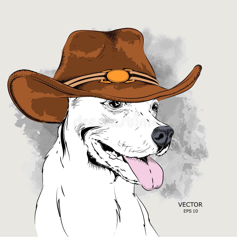 Dog Cowboy Stock Illustrations 853 Dog Cowboy Stock Illustrations