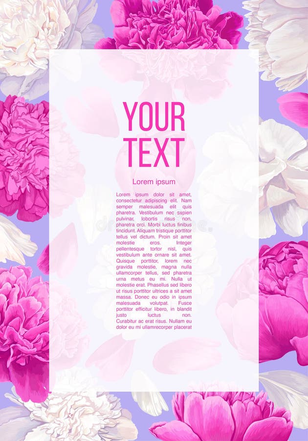 Floral banner with pink and white peonies flowers and petals. vector illustration Floral banner with pink and white peonies flowers and petals. vector illustration
