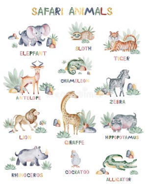 Safari Animals Names