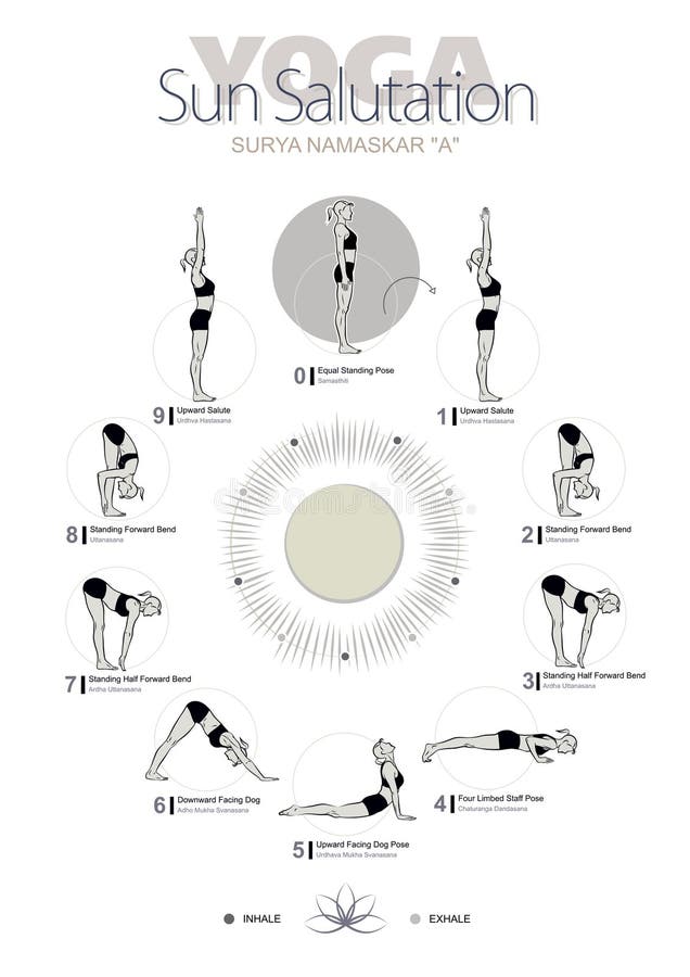 Sun Salutation Complex Yoga Asana Stock Illustrations – 72 Sun Salutation  Complex Yoga Asana Stock Illustrations, Vectors & Clipart - Dreamstime