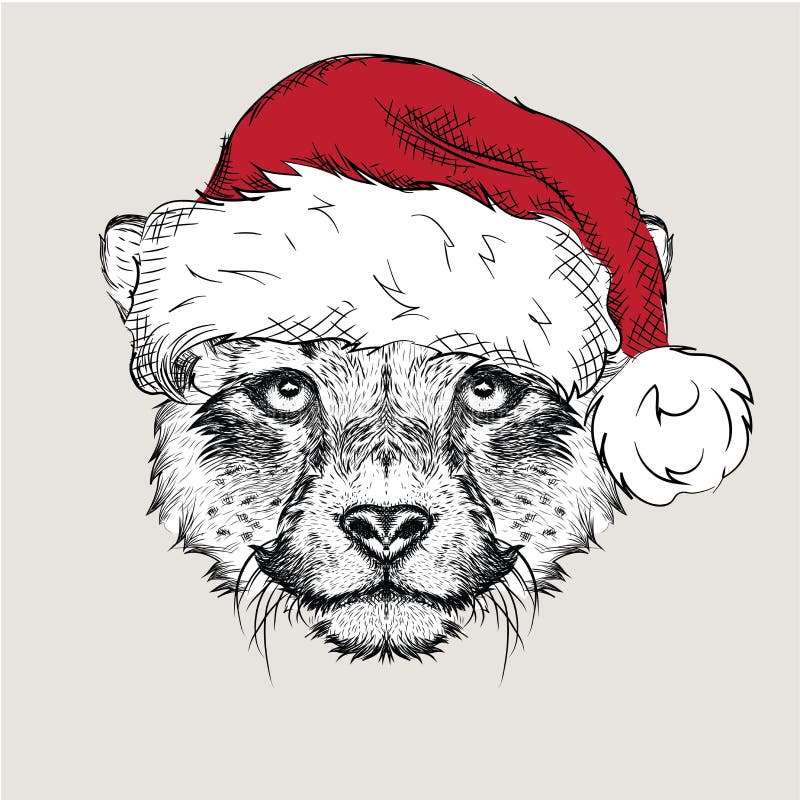 Posterul de Crăciun cu portretul cu ghepard în Santas hat. ilustrare vectorială royalty free illustration