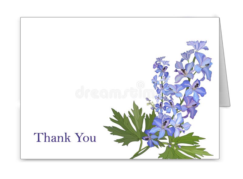 Postkarte horizontal mit einem Blumenstrauß des Blumenrittersporns Vektor lizenzfreie abbildung Postkarte horizontal mit einem Blumenstrauß des Blumenrittersporns Vektor lizenzfreie abbildung