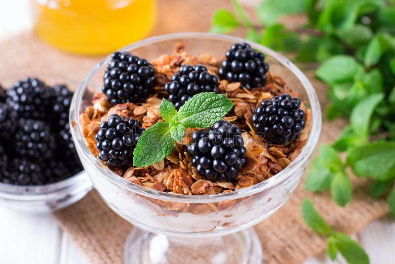 Postre acodado sano con el yogur, granola, zarzamora en vidrio en el fondo de madera foto de archivo Postre acodado sano con el yogur, granola, zarzamora en vidrio en el fondo de madera foto de archivo