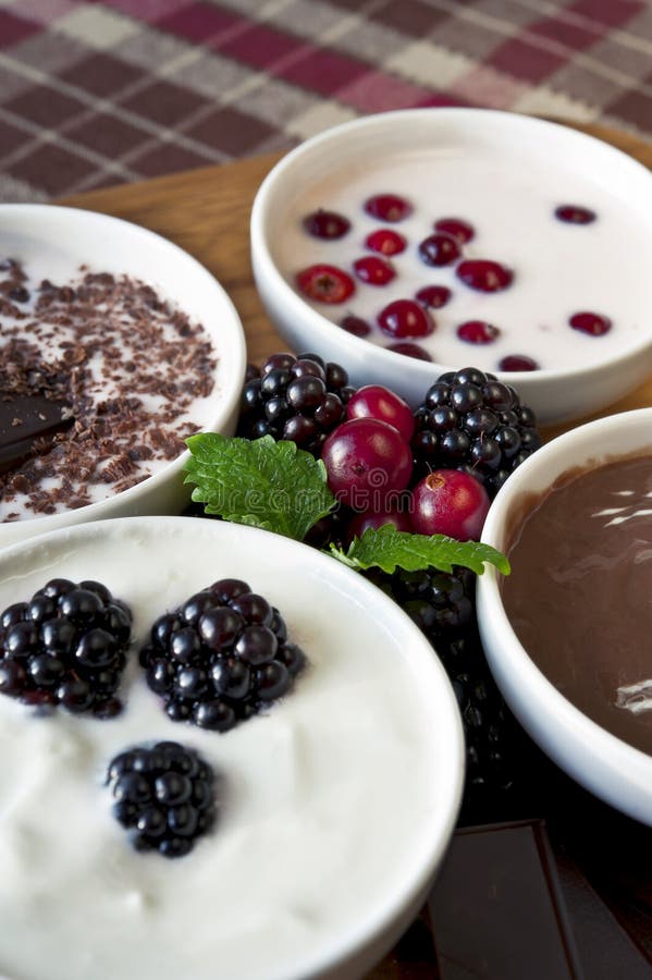 Postre poner crema del primer con las bayas en el porce blanco fotografía de archivo libre de regalías Postre poner crema del primer con las bayas en el porce blanco fotografía de archivo libre de regalías