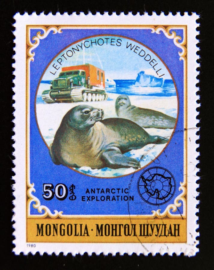 Post stamp printed in mongolia, 1980. Wedell seal leptonychotes weddellii. From the series antarctic animals and exploration. Post stamp printed in mongolia, 1980. Wedell seal leptonychotes weddellii. From the series antarctic animals and exploration.