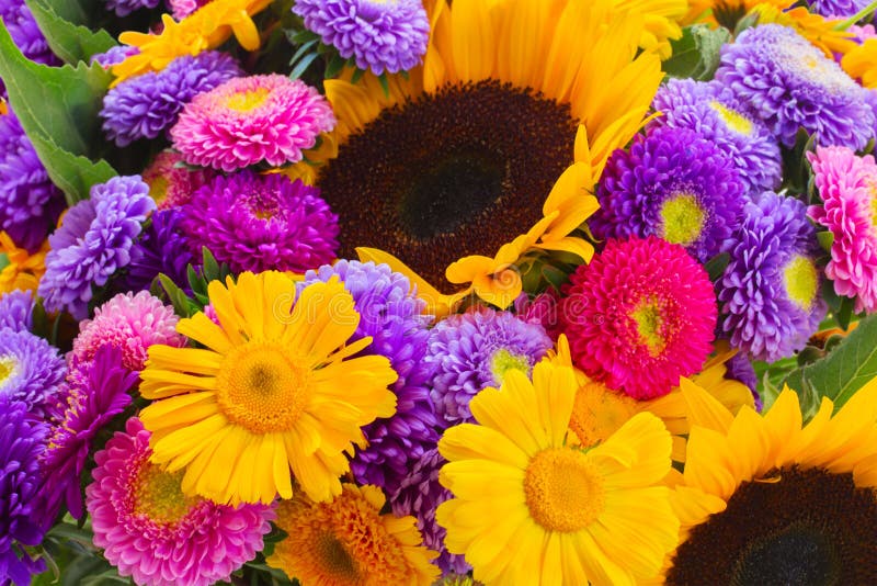 Posy of Mixed Autumn Flowers Stock Image Image of botany, common