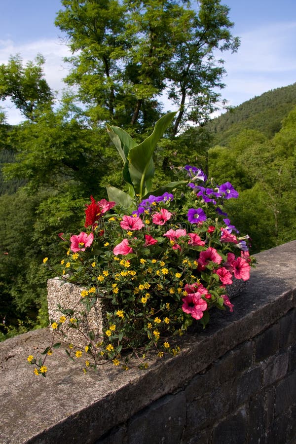 Pot with all kind of different plants royalty free stock photos