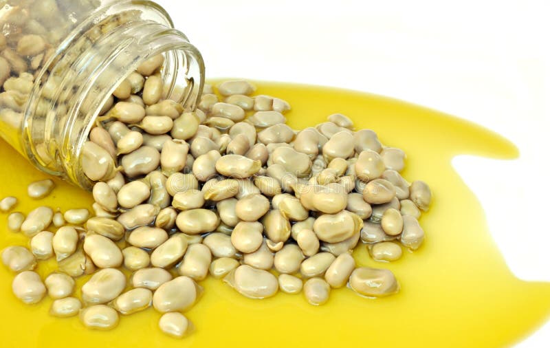 Pot of Beans with Olive Oil Stock Image Image of mature, fresh 21079539