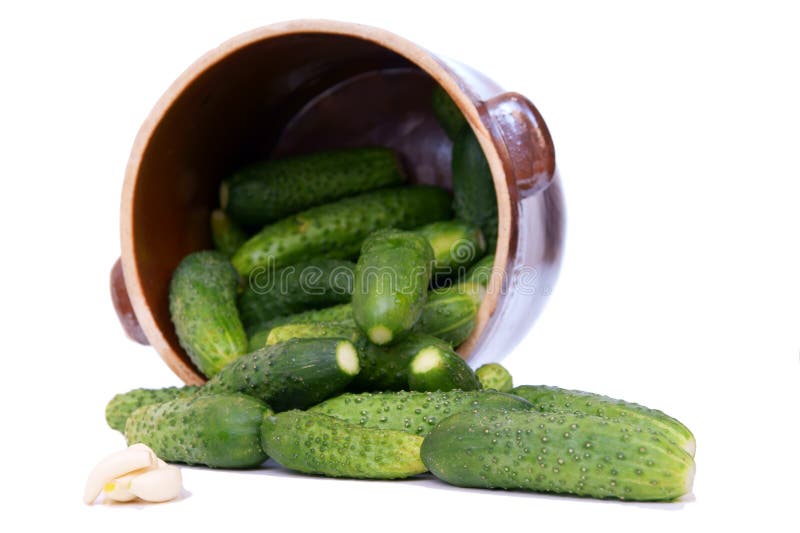 Pot of cucumbers and clove of garlic