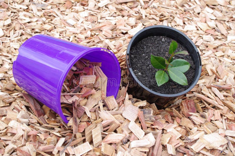 Copribobina Per Decespugliatore Worx - 2 Pezzi - Foto 9