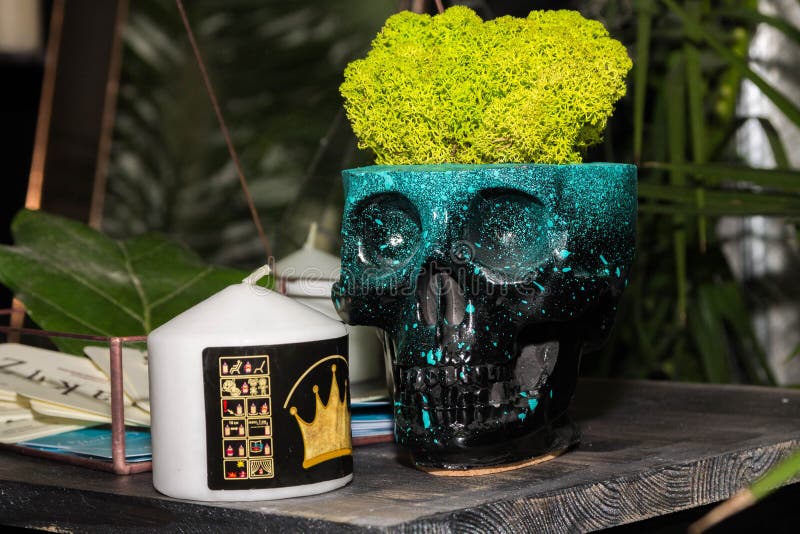Flower Vase in the Form of a Skull Stock Photo Image of skull, potted