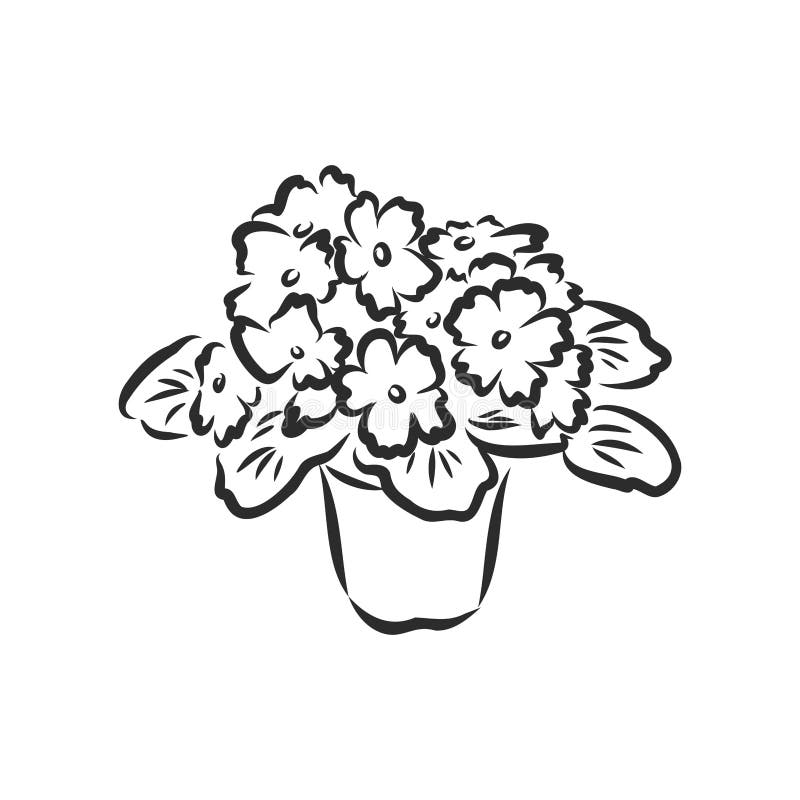 Download Upside-Down Flower Pot Drawing in Black and White PNG Online -  Creative Fabrica