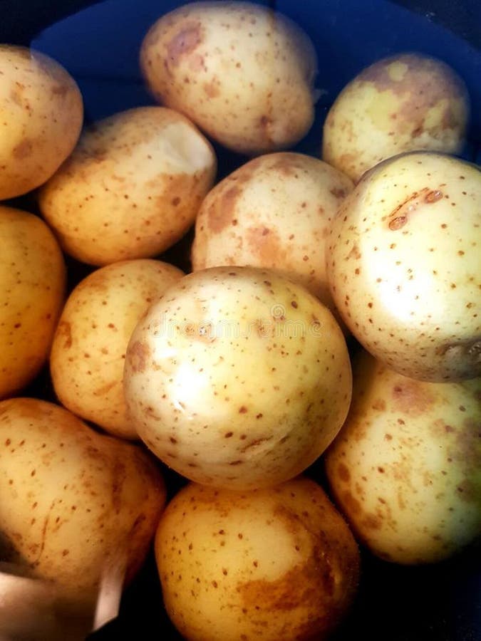 A Pot of Potatoes Lying in Water Stock Image Image of nutritious