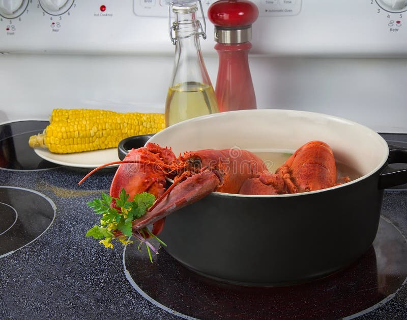 Pot with Red Lobsters at Stove Top Stock Photo Image of cooking, life