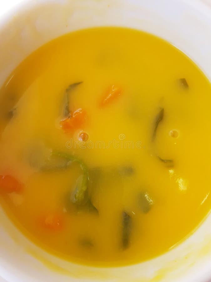 Potage aux légumes images libres de droits Potage aux légumes images libres de droits