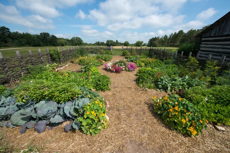 Potager de ferme de pays, nourriture photo stock Potager de ferme de pays, nourriture photo stock