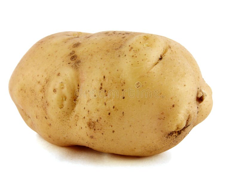 Potato