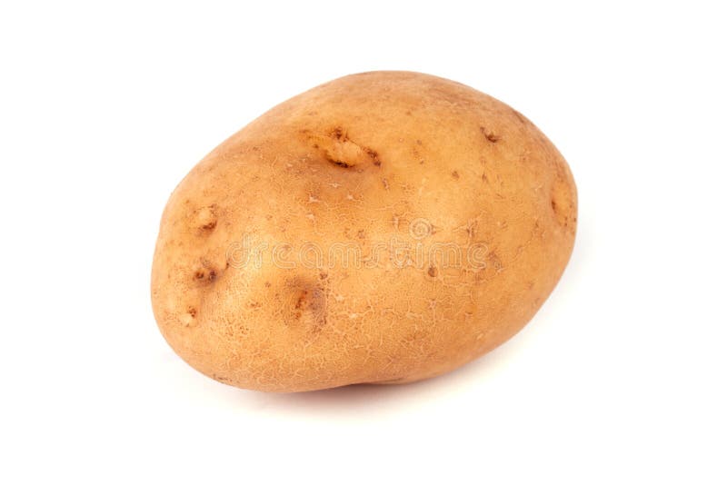 Potato