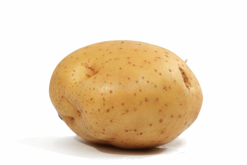 Potato