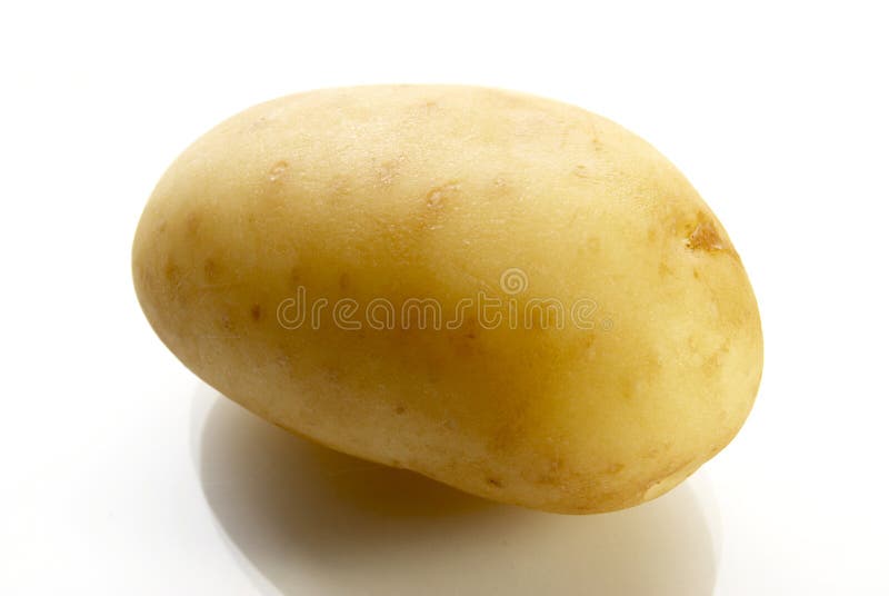 Potato