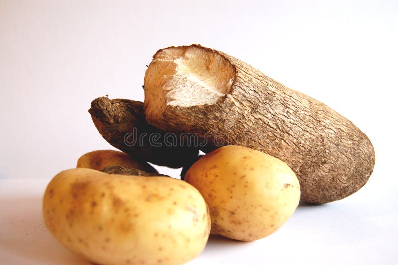 African yam stock image. Image of multicultural, carbohydrates 256333