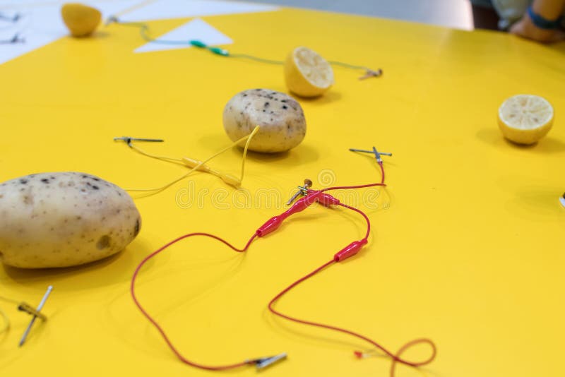 Potato battery STEM activity with potatoes, lemons, alligator cl royalty free stock photo Potato battery STEM activity with potatoes, lemons, alligator cl royalty free stock photo