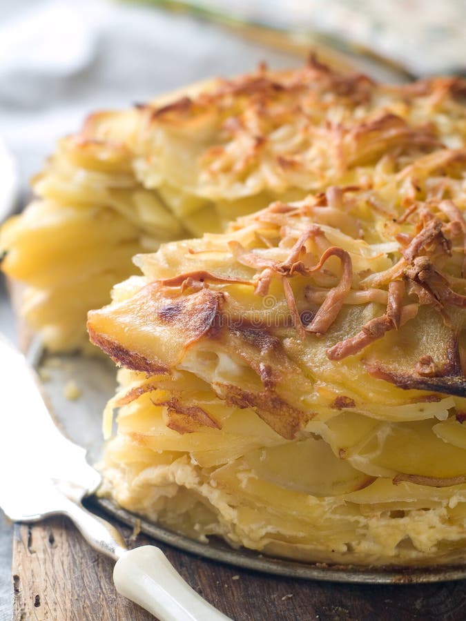 Potato gratin stock photo. Image of potato, vegetable 23859984