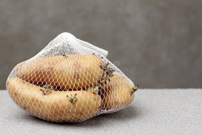 potato net bolsa