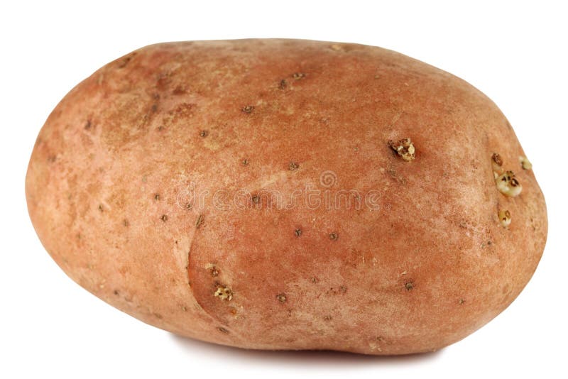 Potato isolated on white background