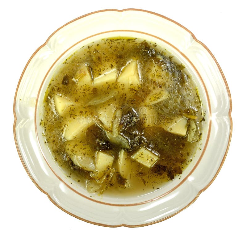 Potato onion spinach soup stock photo. Image of healthy 49309514