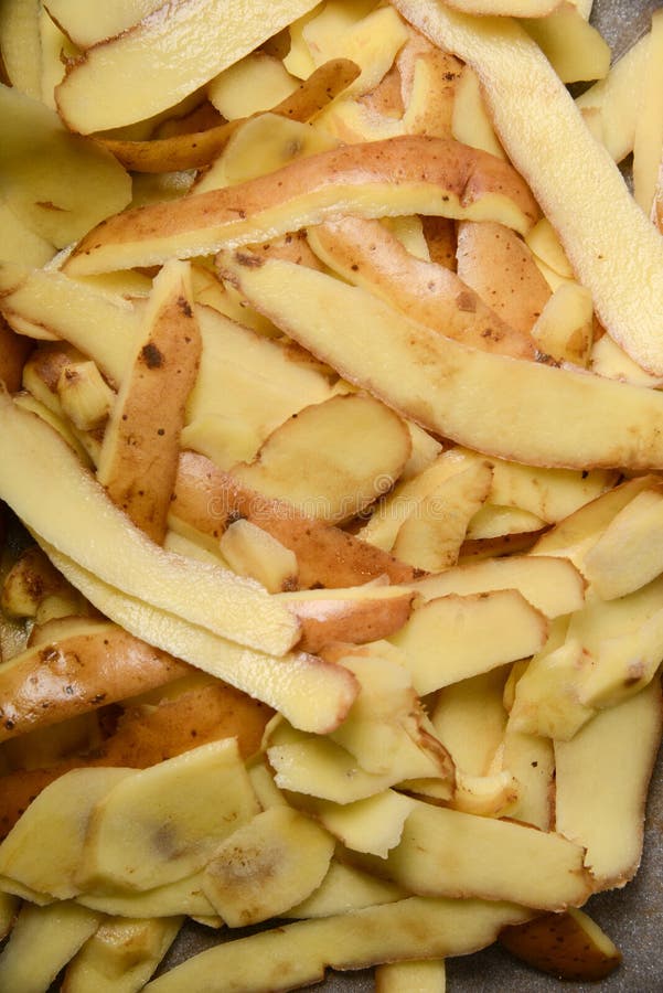 Potato Peel stock image. Image of food, compost, concepts 49604883