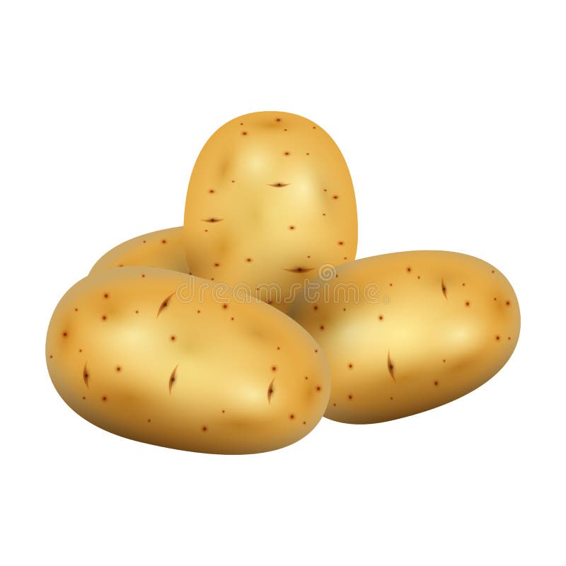 Vector picture of cute potato isolated on white background. 24529733 Vector  Art at Vecteezy