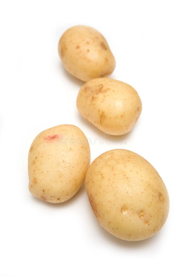 Whole Roseval potatoes stock photo. Image of uncooked - 15735456