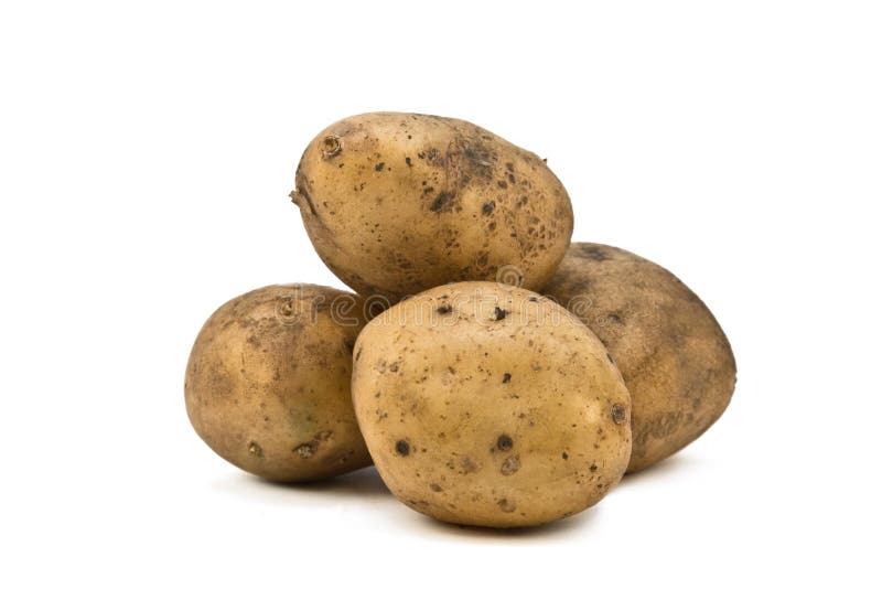 Poisonous potato update. Картофель isolated. Картошка с ростками на белом фоне. Картошка с ростками фото на белом фоне.