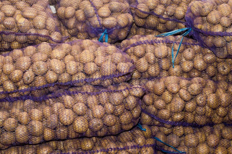 Potatoes in bags, vegetables, agriculture, agro-industry