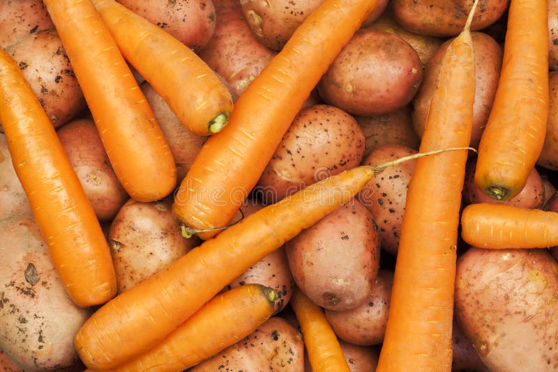 Potatoes and carrots stock image. Image of delicious 26802409