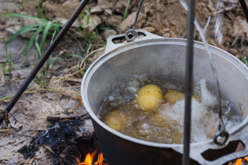 Potatoes are Cooked in Boiling Water in a Cauldron Over a Fire in the