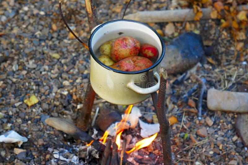 Potatoes Cooked in a Pot on the Fire Stock Image Image of firewood