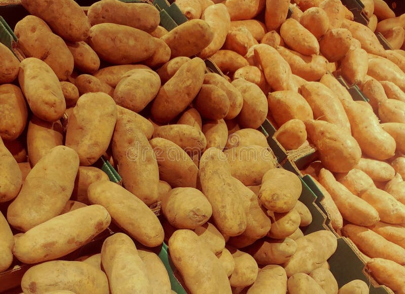 Potatoes at a Farmer`s Market Stock Image Image of farmers, potatoes 90467633