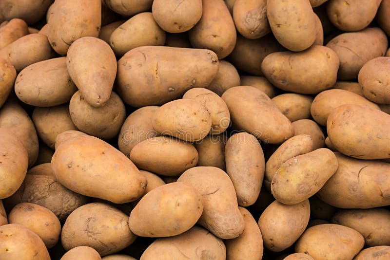 Potatoes at market. stock photo. Image of harvest, foodstuffs 31099026