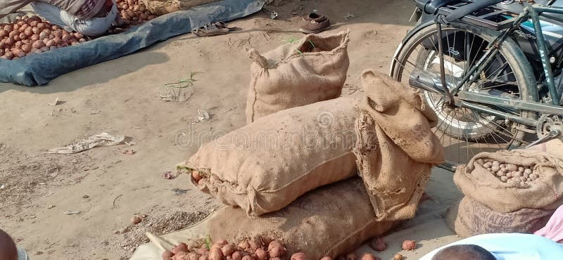 Potatoes onions market in benipatti madhubani bihar india