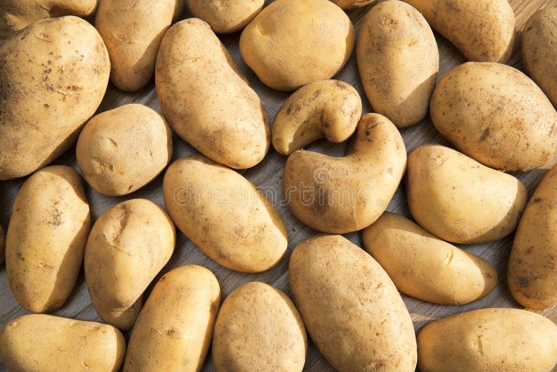 Potatoes raw vegetables food in market for pattern texture and background