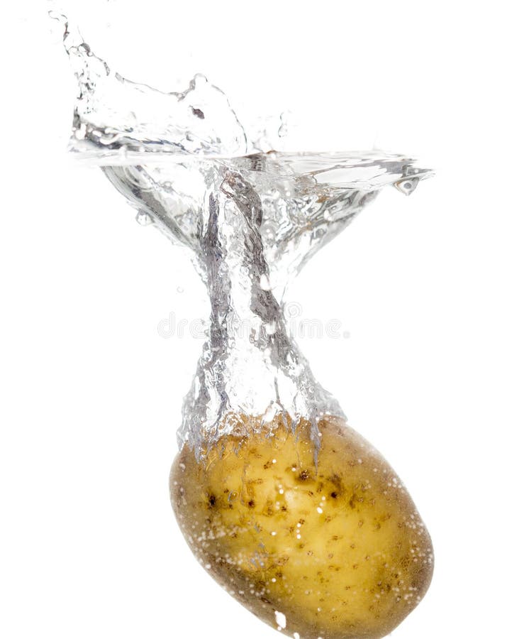 Potatoes in Water Isolated on White Background Stock Image Image of
